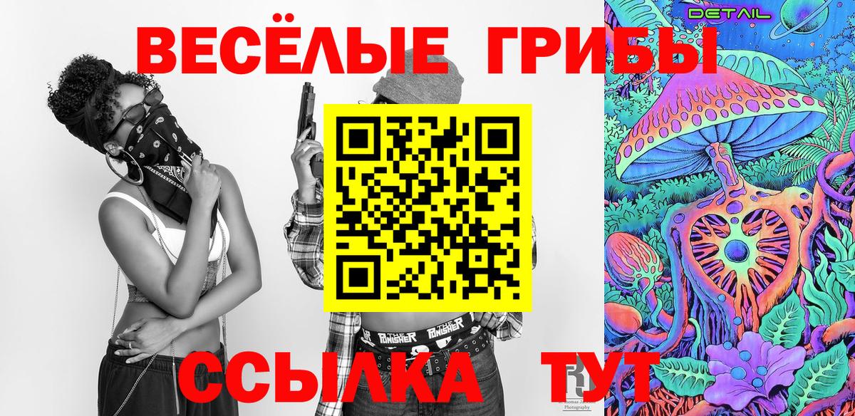 Светлоград  Псилоцибиновые грибы Psilocybe  Вход с VPN 