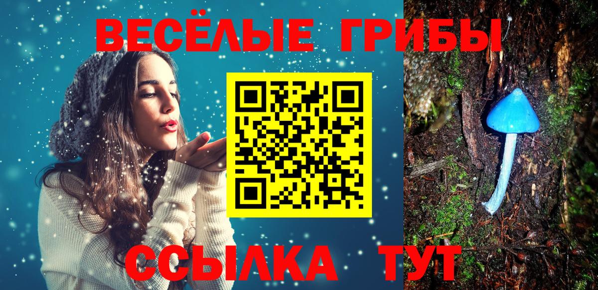 ТГК Светлоград